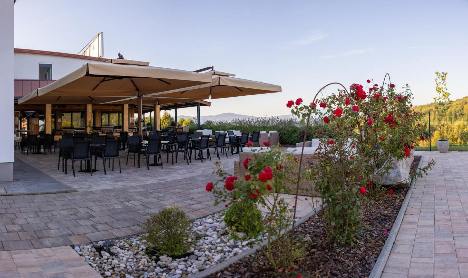 Hotel Dolenjc Ново-Место Экстерьер фото